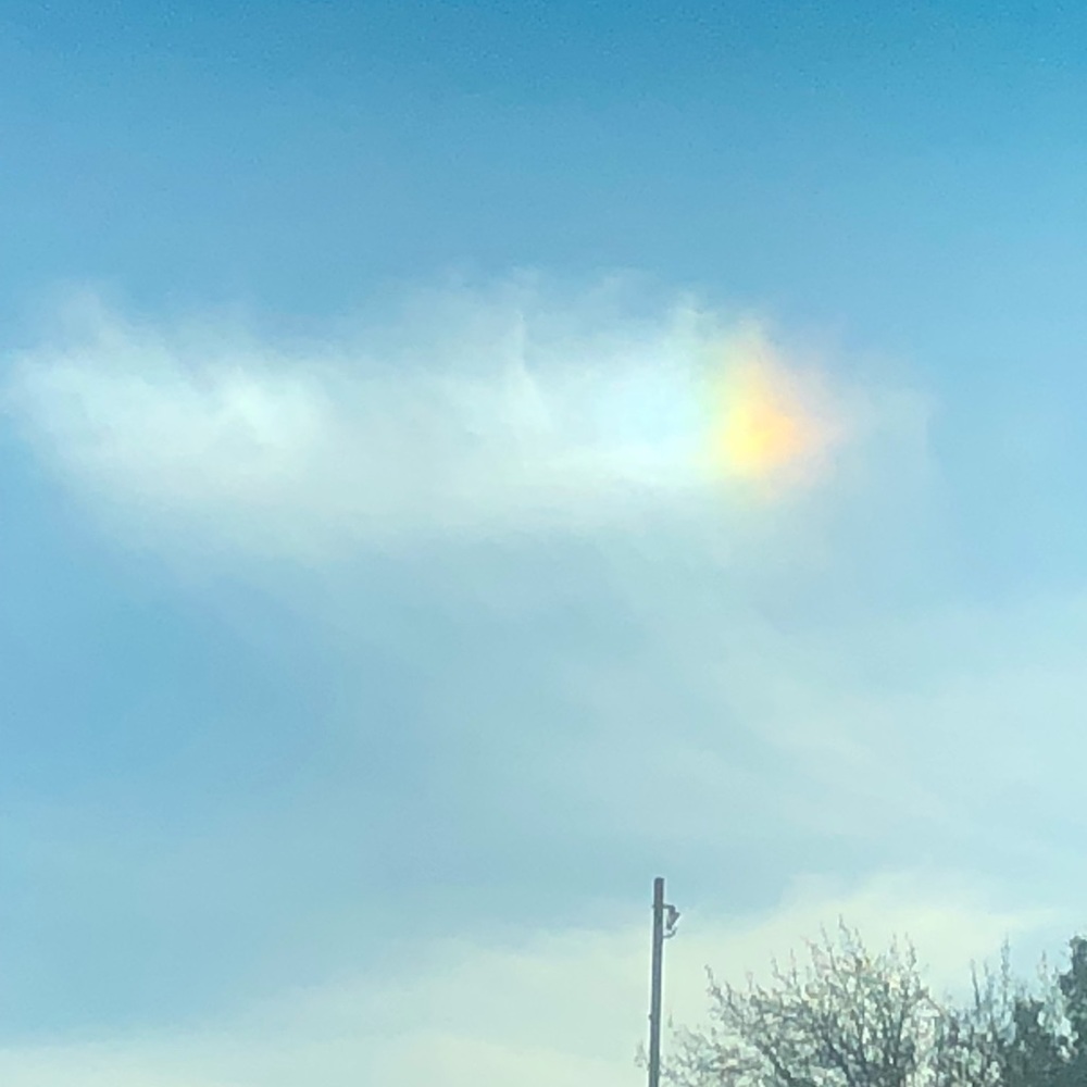 Meet your Posher, Bianca